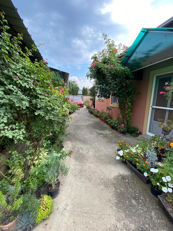 Sud ,,Antal I Olga,, Bed & Breakfast Skorenovac Exterior photo