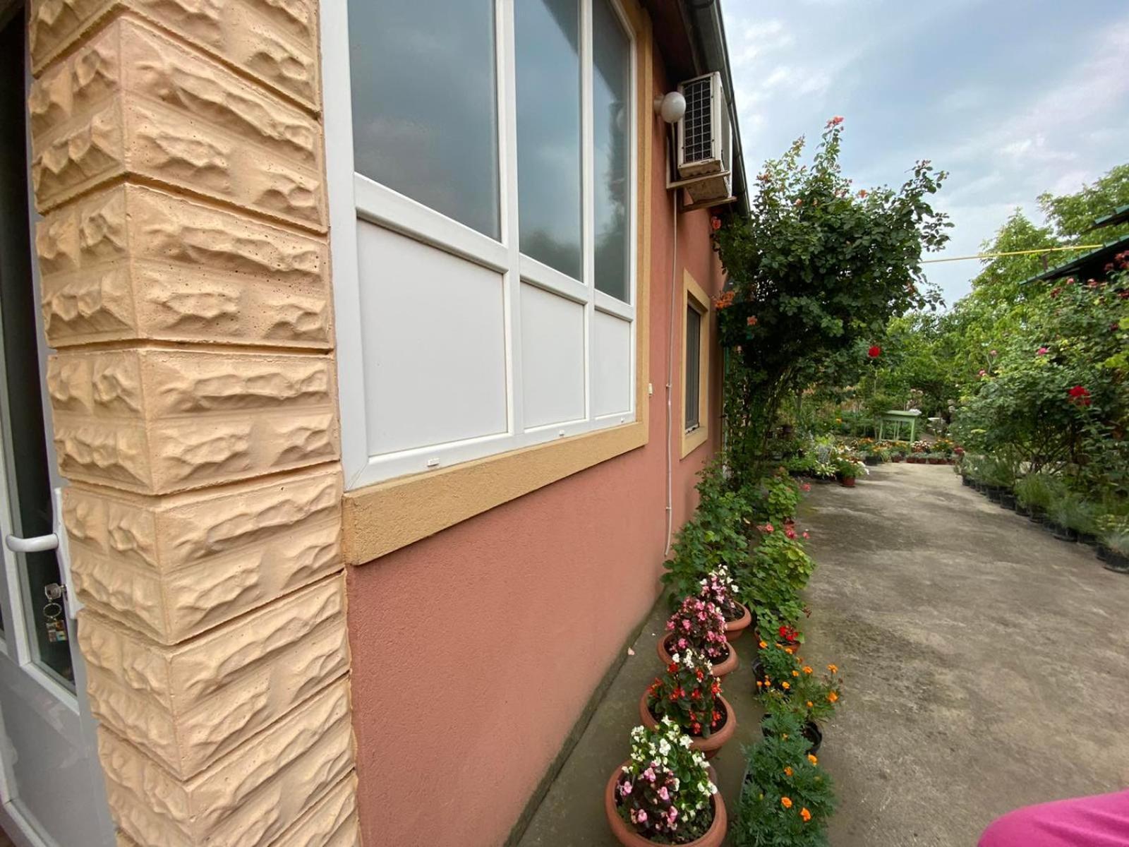 Sud ,,Antal I Olga,, Bed & Breakfast Skorenovac Room photo
